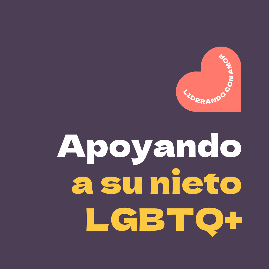 A dark purple cover image with white and yellow text for the PFLAG National publication: "Apoyando a su nieto LGBTQ+"