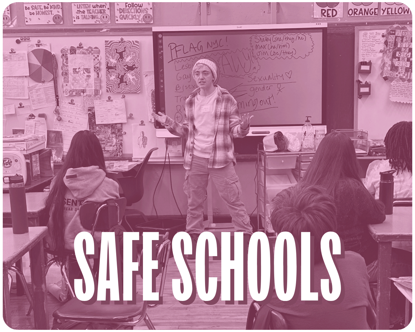 A purple-filtered image of a Safe Schools Program volunteer in a classroom with the words "Safe Schools" over it in white